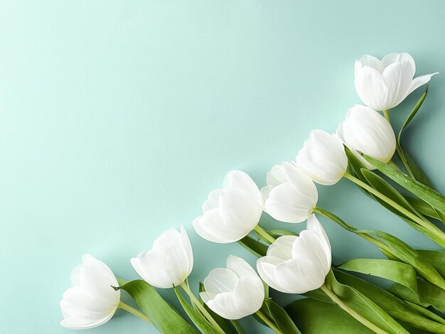 Close-up of white flowers