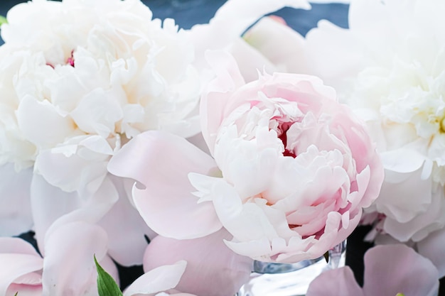 Close-up of white flowers