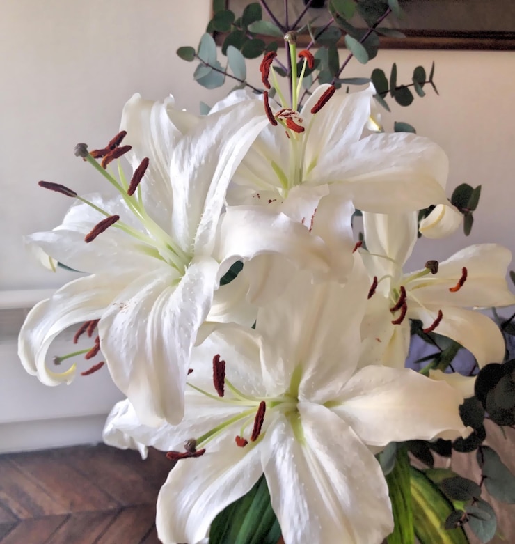 Photo 白い花のクローズアップ