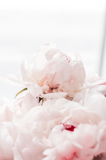 Photo close-up of white flowers