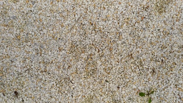 A close up of a white gravel