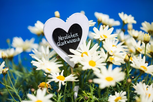 Photo close-up of white heart shape with flowers