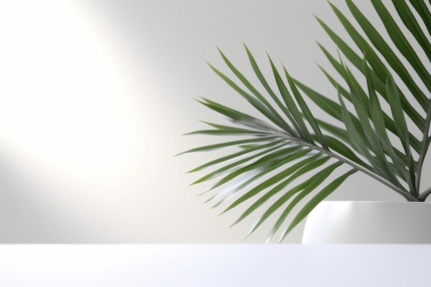 Close up white minimalist background realistic