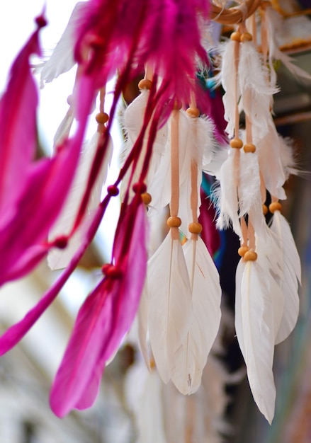 close-up of white pink flowers