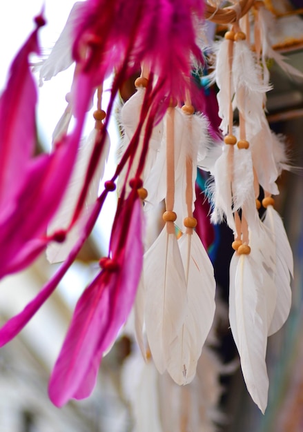 Foto close-up di fiori bianchi e rosa