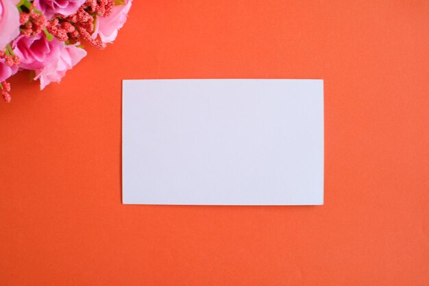 Photo close-up of white rose against orange wall