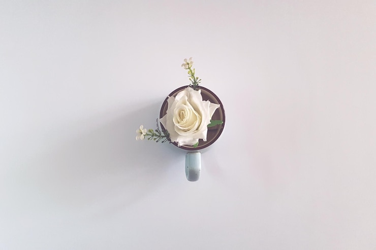 Photo close-up of white rose against white background