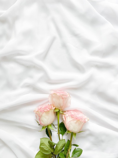 Photo close-up of white rose on bed