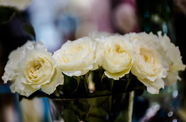 Close-up of white rose bouquet