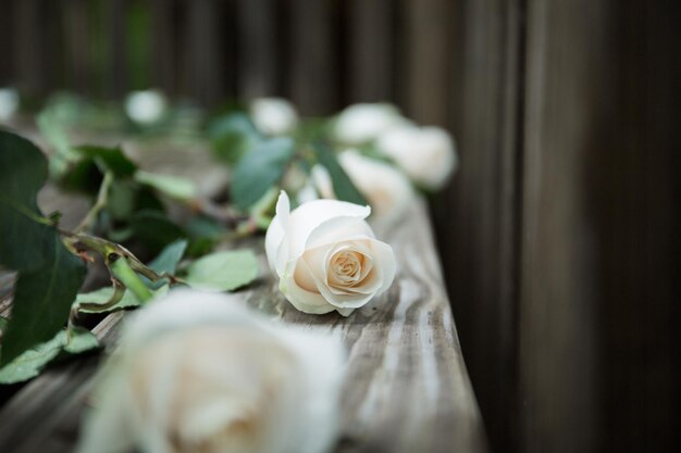 Close-up of white rose bouquet