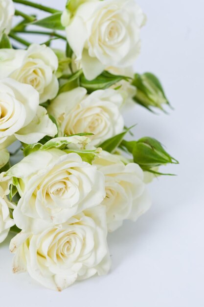 Foto close-up di un bouquet di rose bianche