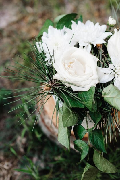 Foto prossimo piano della rosa bianca