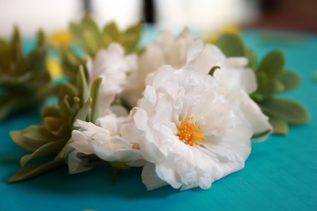 Close-up of white rose on table