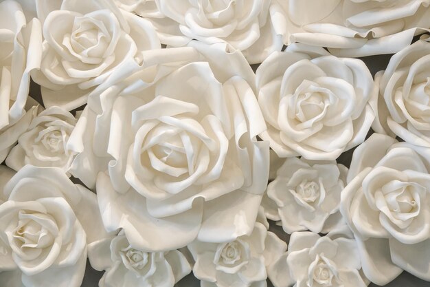 Photo close-up of white roses