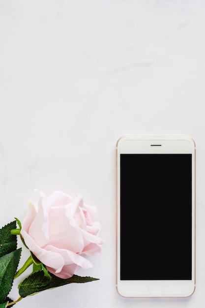 Photo close-up of white roses