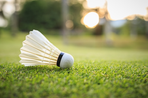 Close up white Shuttlecock for badminton on green grass