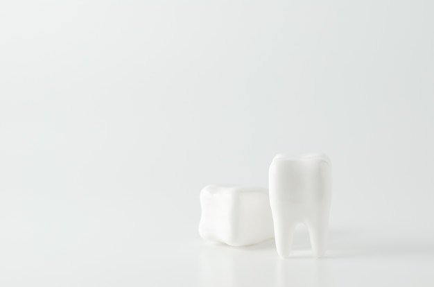 Close up of white teeth dental model on white background