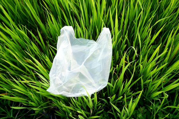 Photo close-up of white umbrella on field