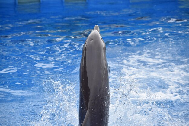 白い水のクローズアップ