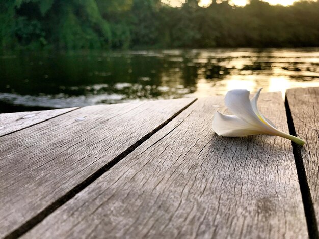 Photo close-up of white wooden pier on lake