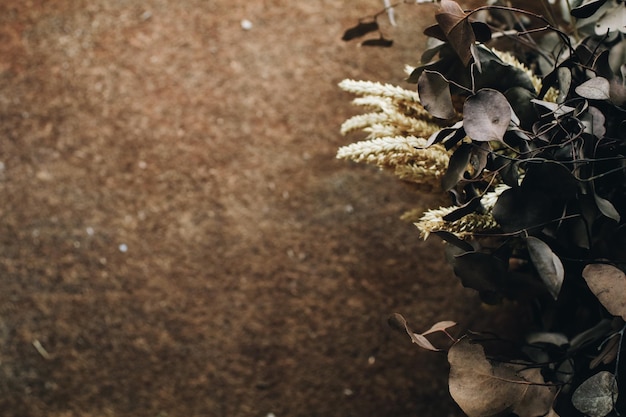 Photo close-up of wilted plant