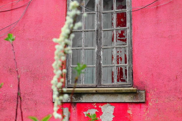 Close-up of window on wall