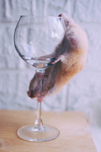 Foto prossimo piano del bicchiere di vino sulla tavola