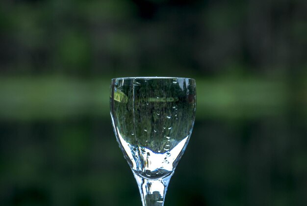 Close-up of wineglass