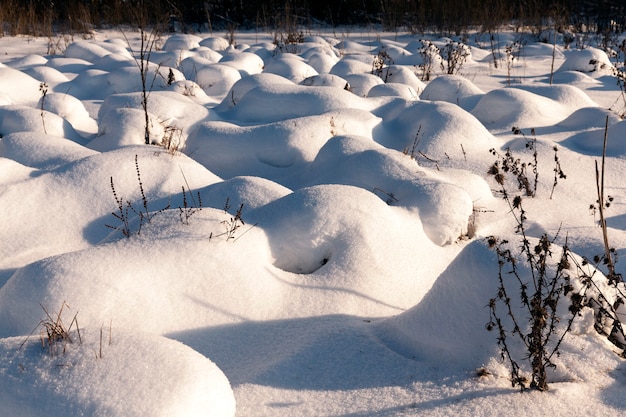 Close up on the winter season