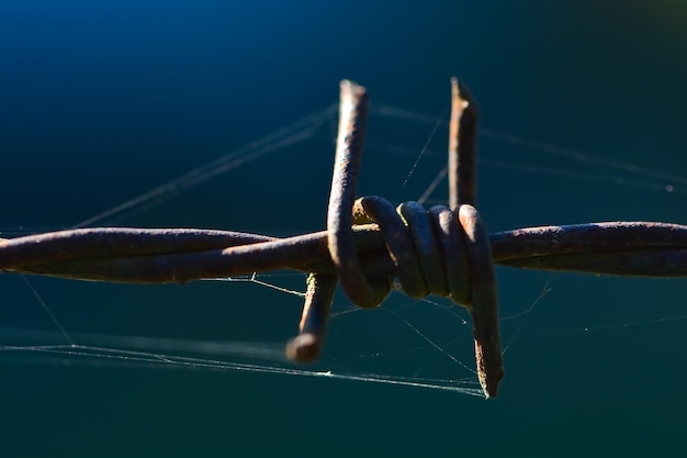 Close-up of wire