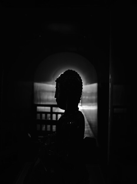 Photo close-up of woman in dark