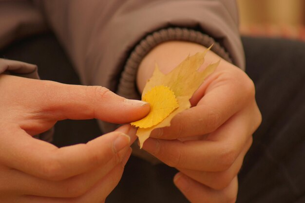 Close-up of woman eating food