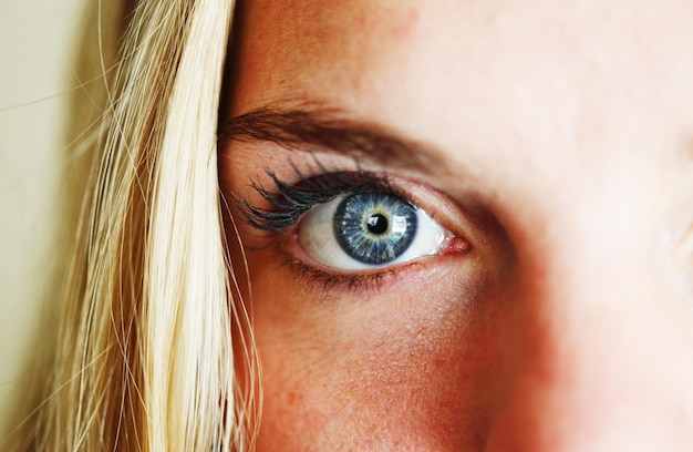 Photo close-up of woman eye