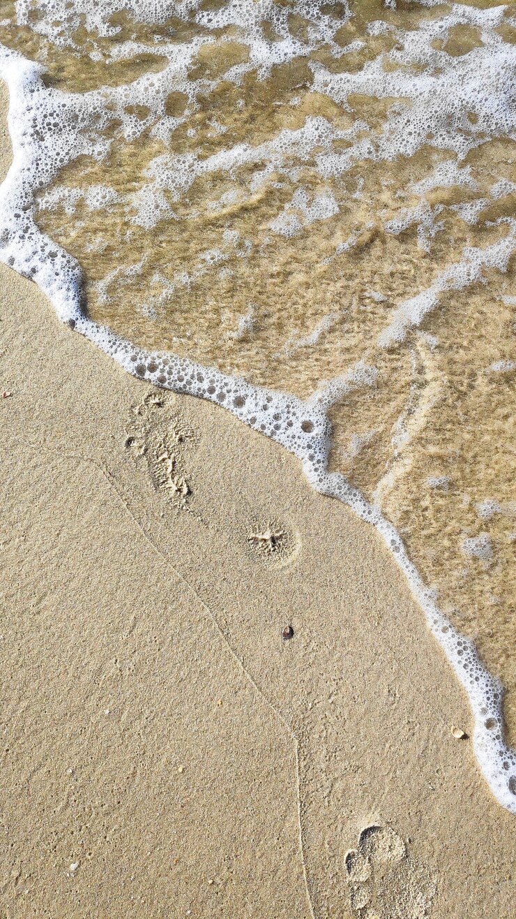 黄金の砂浜、海の海の水の海岸に足跡を残して女性の足のクローズアップ。休暇、旅行、自由の概念。夏にリラックス。