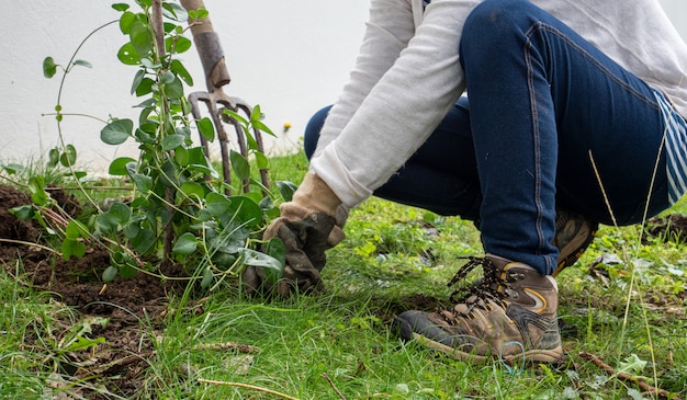 Close up of woman gardening with spade