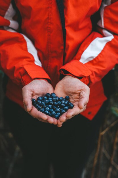 Close-up of woman hand holding fruit