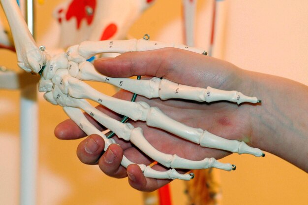 Close-up of woman hand holding painting