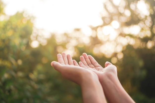 Photo close-up of woman hand on plant