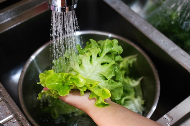 Mano della donna del primo piano che lava le verdure verdi fresche nel lavandino di cucina.