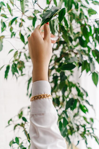 Photo close-up of woman hand with white leaves