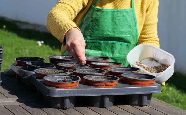 A close up of woman hands gardening