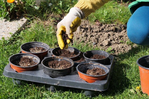 A close up of woman hands gardening