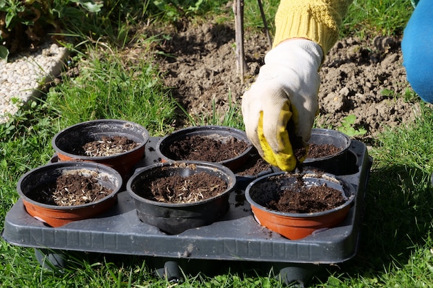 A close up of woman hands gardening