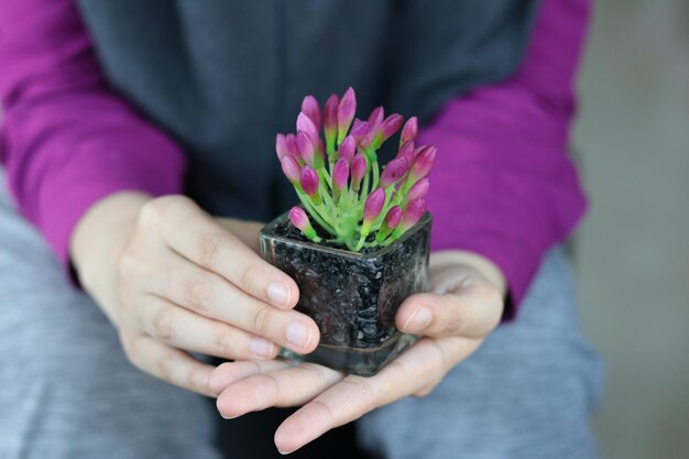Close-up of woman hands holding potted flower plant