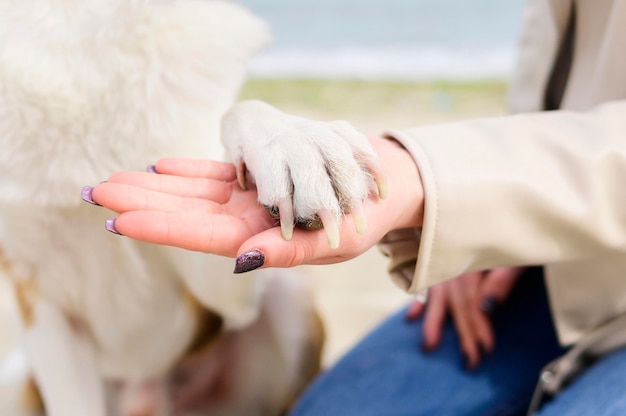 Photo close-up woman holding dogs paw