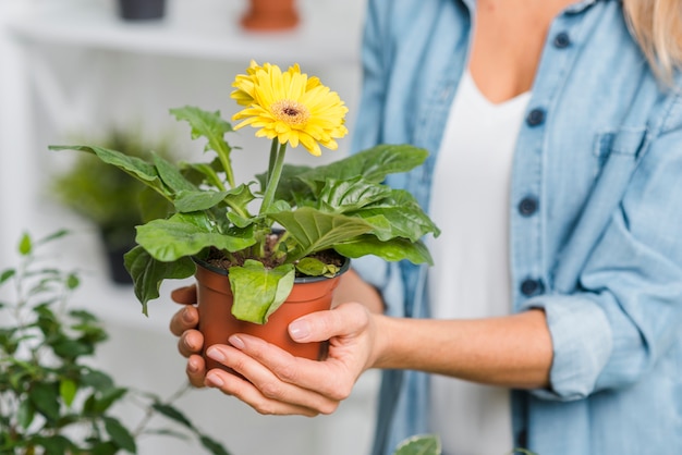 植木鉢を保持しているクローズアップの女性