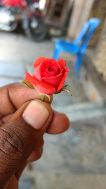 Foto close-up di una donna che tiene un fiore