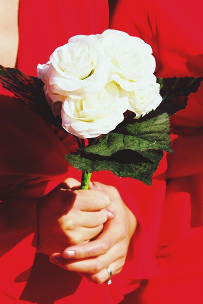 Photo close-up of woman holding flower