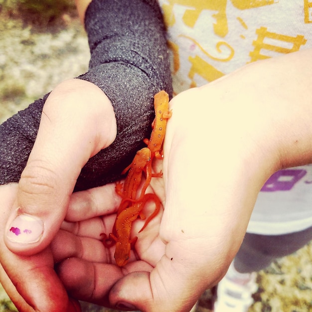 Photo close-up of woman holding hands