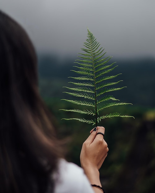 Foto prossimo piano dell'impianto di produzione femminile